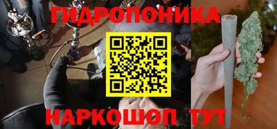 индика Ликино-Дулёво