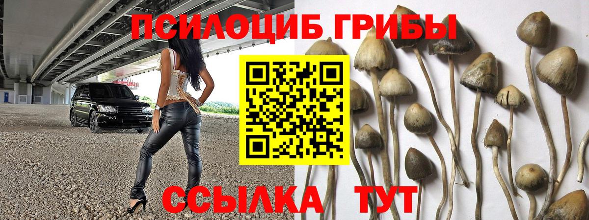 где купить наркоту  Галлюциногенные грибы Magic Shrooms  Вход с VPN  Шадринск 