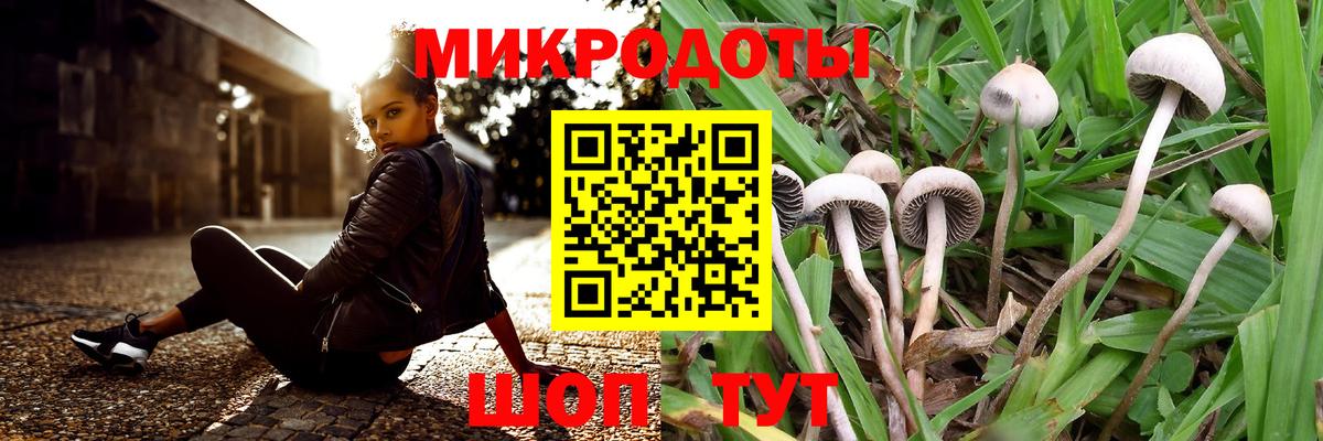 Псилоцибиновые грибы Psilocybine cubensis Шадринск